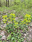 IMG_20260410_141001
