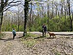 IMG_20260411_123102