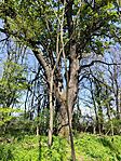 IMG_20260411_112001
