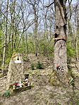 IMG_20260413_112818