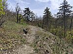 IMG_20260413_114359