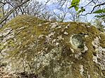 IMG_20260413_114732