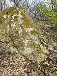 IMG_20260413_114743