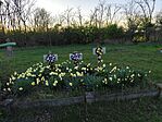 IMG_20260404_183529