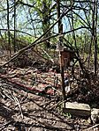 IMG_20260404_091945