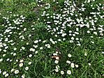 IMG_20260405_141422