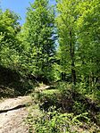 IMG_20260417_110424