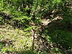 IMG_20260417_110420