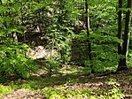IMG_20260417_110511