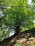IMG_20260419_142354