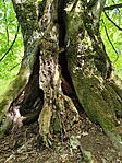IMG_20260419_142533