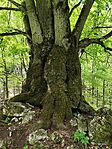 IMG_20260419_142610
