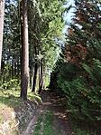 IMG_20260419_113729