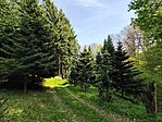 IMG_20260419_113604