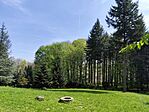 IMG_20260419_113455