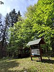 IMG_20260419_113438