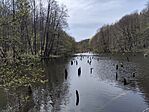 IMG_20260419_120657