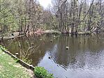 IMG_20260419_120838