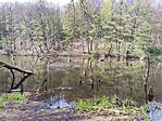 IMG_20260419_121230
