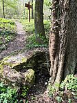 IMG_20260419_115505