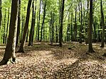IMG_20260419_125212