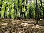 IMG_20260419_125239