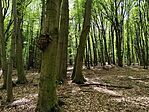 IMG_20260419_125251