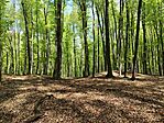 IMG_20260419_125919