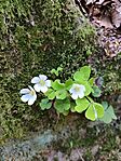 IMG_20260417_134133