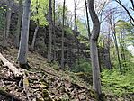 IMG_20260417_134151