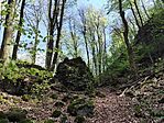 IMG_20260417_134218