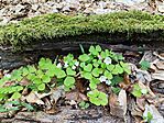 IMG_20260417_140201