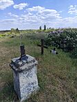 IMG_20260424_143420