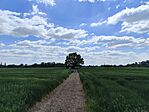 IMG_20260424_121213