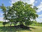 IMG_20260424_122056