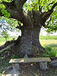 IMG_20260424_122139