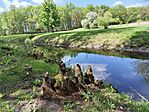 IMG_20260424_124740
