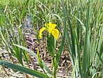 IMG_20260424_124922