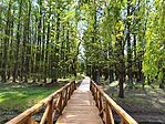 IMG_20260424_125332