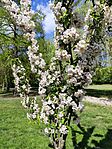 IMG_20260424_130033