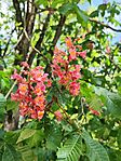 IMG_20260424_130721