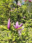 IMG_20260424_130822