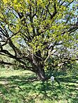 IMG_20260425_103113