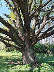 IMG_20260425_103142
