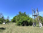 IMG_20260426_124905