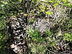 IMG_20260426_125928