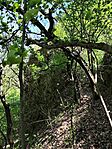 IMG_20260426_130330