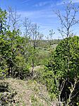 IMG_20260426_130616