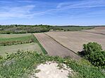 IMG_20260426_115311