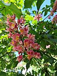 IMG_20260428_115423